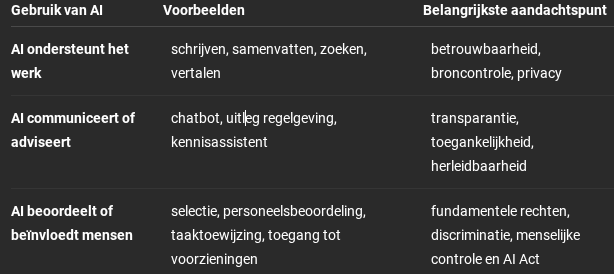 Risico gebruik AI ontwikkelbedrijf